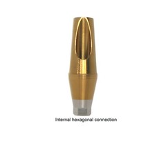 Hiossen ET Dental TI Cement-retained restoration 17° Angulated Abutment M/R Hex