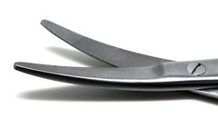 10 Pcs Surgical Veterinary Metzenbaum Scissors Curved 6″ Premium Instruments