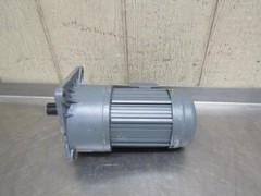 Housin Wansin GV22 Electric Motor Gearmotor 1/4 HP 60:1 Ratio 27.5 RPM