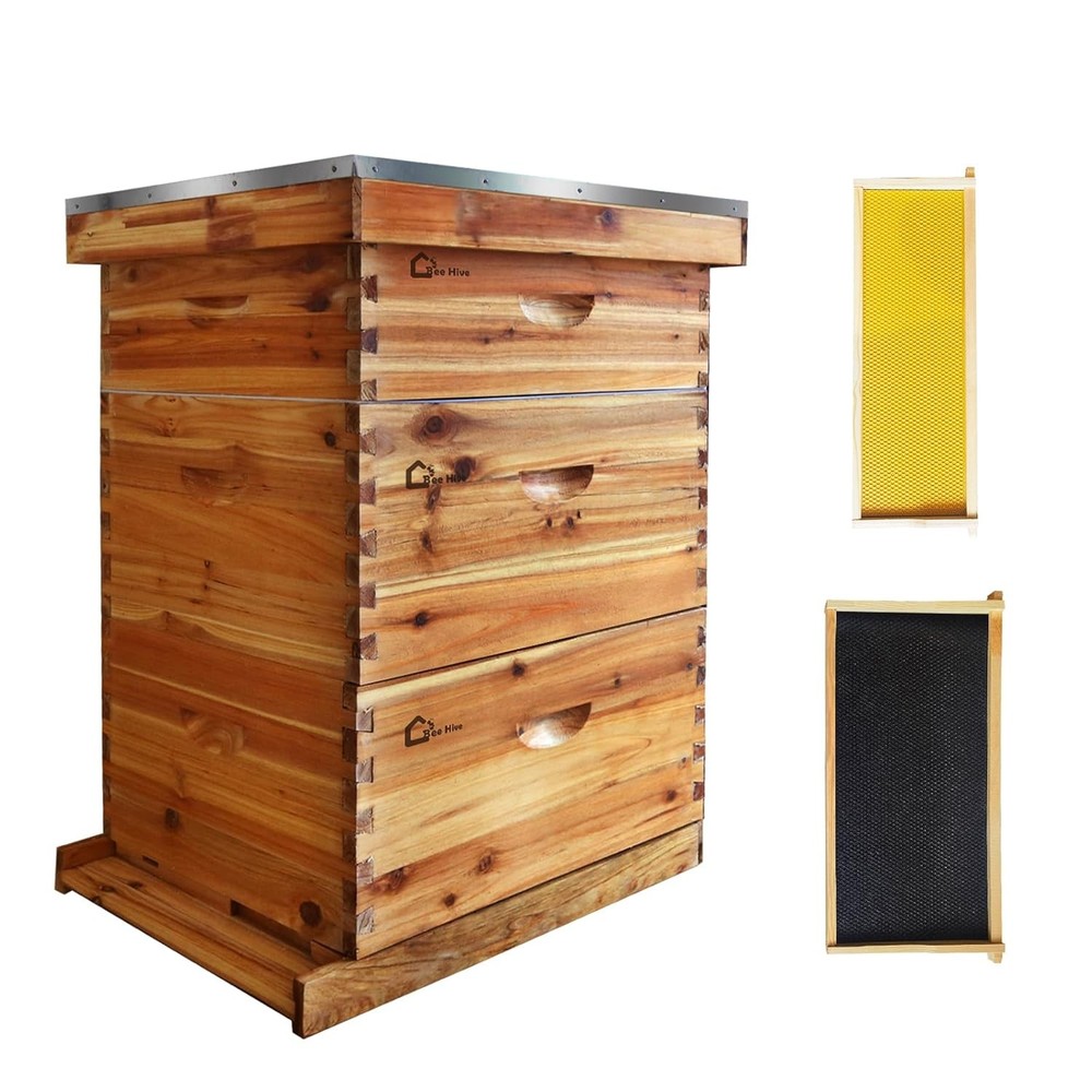 10-Frame Complete Beehive Kit: Beeswax Coated Hive with 2 Deep & 1 Medium Boxes