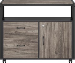 Compact Modern File Cabinet with 2 Drawers & Security Lock, Stylish Home Office