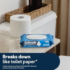 Cottonelle Fresh Care Flushable Wet Wipes, 42 Wipes Per Pack 168 Total Wipes