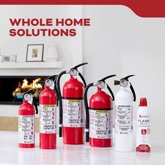 Fire Extinguisher for Vehicles Cars Trucks Single-Use 5BC ‎3.2 pounds