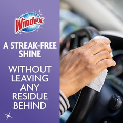 Windex Wipes Glass Cleaning Ammonia Free, Pre-Moistened 25 Count (Pack of 1)