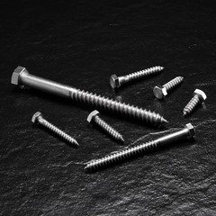 Durable Hex Head Lag Screws Stainless Steel High Strength 20 Pcs Set Decks New