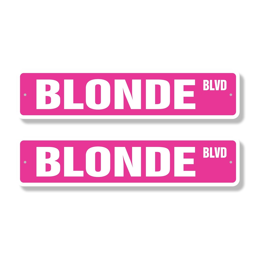 BLONDE BLVD Street Sign (2 Pack) Metal Plastic hair blondie stupid funny blondes