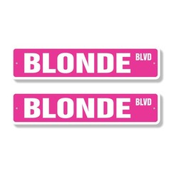 BLONDE BLVD Street Sign (2 Pack) Metal Plastic hair blondie stupid funny blondes