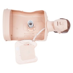 Adult CPR Adult Manikin for First Aid Training Patient Education Simulator Model
