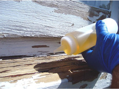 Liquidwood 2-Pint Epoxy Wood Hardener & Consolidant – Strong & Durable Repair