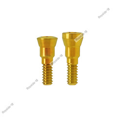 Dental Straumann Healing Abutments Closure Cover Screws NC/RC Fit ITI