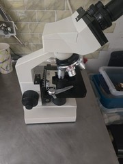 Omax Microscope