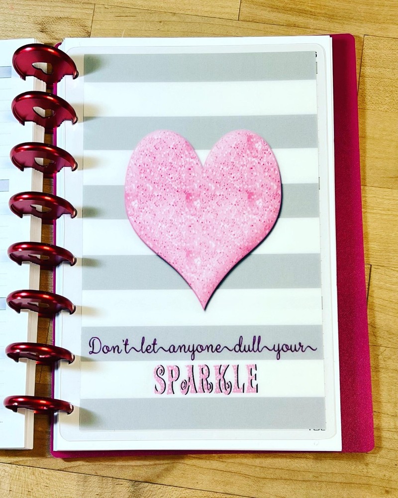 Gray/White Stripe Pink Glitter DASHBOARD 4 use w/ the TUL/Arc (8 disc) Planner