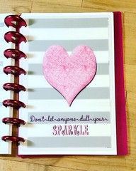 Gray/White Stripe Pink Glitter DASHBOARD 4 use w/ the TUL/Arc (8 disc) Planner
