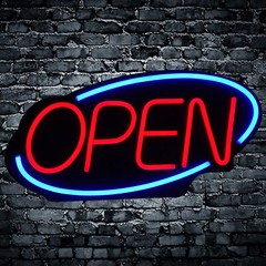 LED Open Sign Neon Light Bright for Restaurant Bar Pub Outside Wall Decor PVC