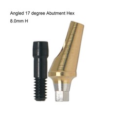 Hiossen ET Dental TI Cement-retained restoration 17° Angulated Abutment M/R Hex