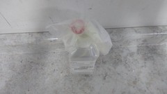 EZBio 06061-42 10 Pk 500mL Sterile Media Bottle Assemblies