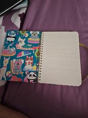 Mintgreen Journal 5×7 Spiral Notebook 200 Pages New Koala Dog Panda B46