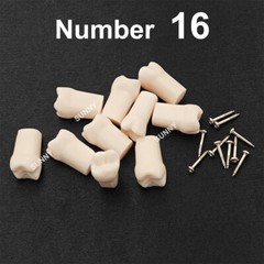 Dental Typodont Teeth Replacement Set of 40 Teeth Kilgore Nissin 500 Fit Screws