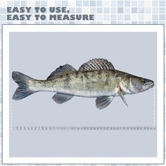 6 Pcs Fish Ruler Decal Measuring Tape Sticker 42 Inch, as picture shown