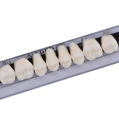 168PC Acrylic Resin Denture #22 Dental Upper Lower Shade A2 Teeth Set 22# A2 US