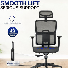 VIVO Ergonomic Mesh Office Chair with Lumbar Support, Adjustable Height, Black