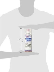 Spray Max 2K High Gloss Clear Coat Aerosol 12 oz Automotive Finish