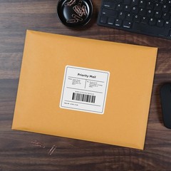 10″ x 13″ Clasp Envelopes, Heavy 32 lb Brown Kraft, Gummed Flap, 100/Box