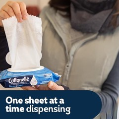 Cottonelle Fresh Care Flushable Wet Wipes, 42 Wipes Per Pack 168 Total Wipes