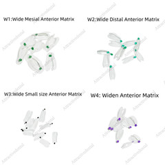 USA Clear Matrix Dental Anterior Posterior Transparent BT Matrices Fit BioClear