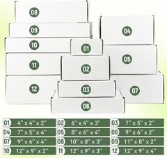 Single Pack 12x9x2 Inch Blank White Mailer Box – Perfect for Branding Needs
