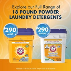 Arm & Hammer Professional Powder Laundry Detergent 18lb Pail 290 Loads