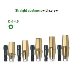 Dental Titanium Straight Abutment Ti Cemented Abutment Fits to Osstem Hiossen TS