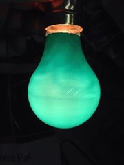 Green 100 Watt A19 LightBulb 100A19/CG Ceramic Green Guaranteed Brand USA 4-PCS