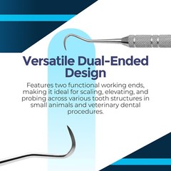 Dentist Veterinary Hygienist Sickle prob/scalers Tartar Removal Curette Dental