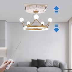 Electric Motor Lamps Lifter W/Remote 220lbs Chandelier Hoist Lifter System