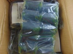 Rosenberger CX608-HA1720 Hanger Adapter Grommet Case of 10 Packs