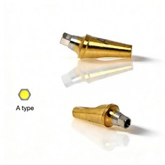 US Dental Angulated Abutment 17° W/screw Inter Hex Regular 2.5mm Dentist Lab A/B