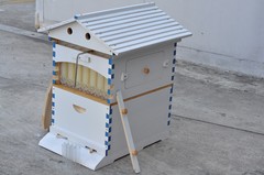 2026 White Wooden Auto Bee Hives Cedarwood + 7PCS Beekeeping Honey Hive Frames