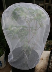 50 Pieces Paint Strainer Bags Include 50 Pieces 5 Gallon White Fine Mesh Filters