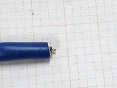 Genesis/Novar 1294 22/1P Shielded Lo-Cap Temperature Sensor Cable Blue /50ft