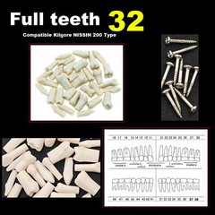 Dental Typodont Replacement Screw-in Teeth Model fit Kilgore NISSIN 200/500 Type