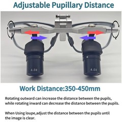 Dental Surgical Medical Ergo Loupes 4X 6X Magnifier Binocular Magnifying Glass
