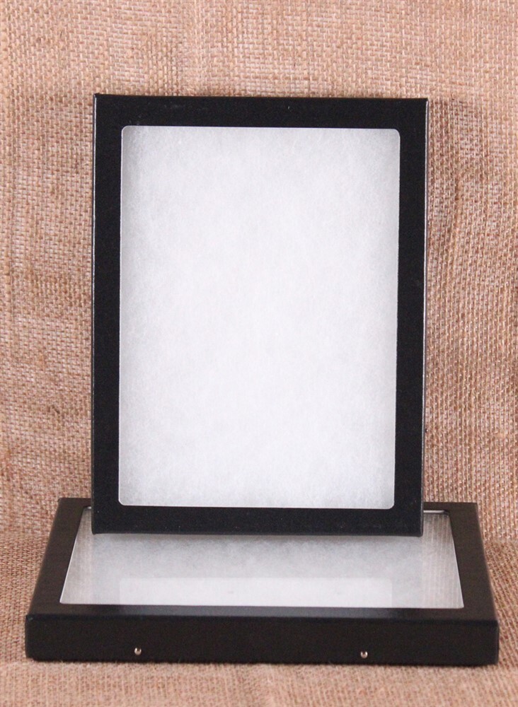 Collector’s Display Case: 6 x 8 x 3/4″ (Riker Type) – Package of 2