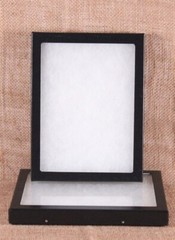 Collector’s Display Case: 6 x 8 x 3/4″ (Riker Type) – Package of 2