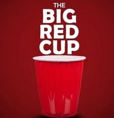 Kirkland Signature Chinet 18 oz Disposable Plastic Cups, Red, 240-count Kitchen