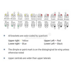 50 Sets AZDENT Dental Orthodontic MIM Monoblock Brackets Brace Roth.022 345 HOOK
