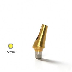 US Dental Angulated Abutment 17° W/screw Inter Hex Regular 2.5mm Dentist Lab A/B