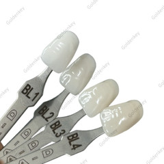 Dental Bleach Shade Guide BL1 4Colors Bleached Chart Teeth Based Vita US STOCK