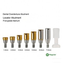 US Hiossen ET Overdenture Internal Hex Classic Locator Legacy Titanium Abutment