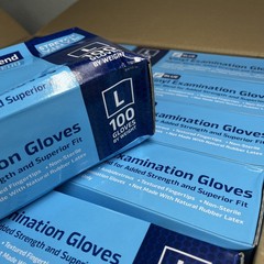 Nitrile-Vinyl Blend Gloves Disposable Latex Free Multipurpose Blue Large-1000
